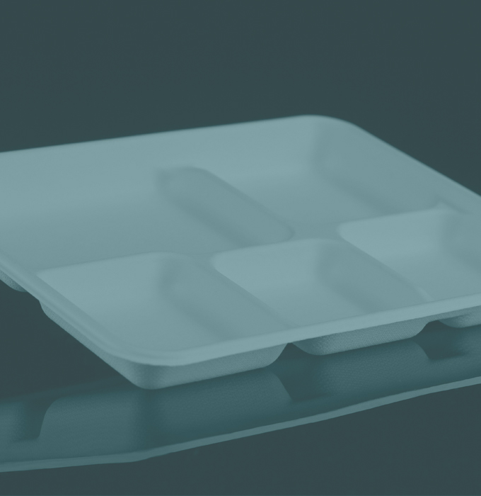 Disposable food tray